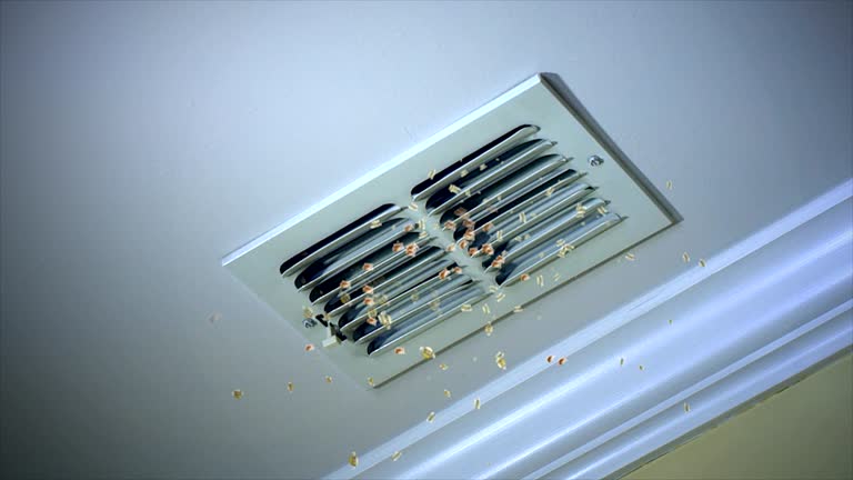 Best Local Air Duct Cleaning Services  in Sour Lake, TX