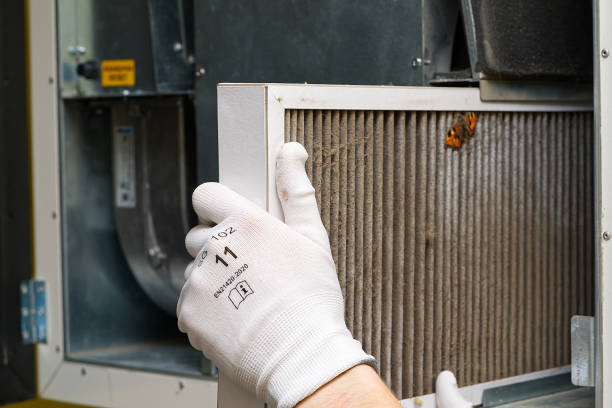 Best General Air Duct Cleaning  in Sour Lake, TX