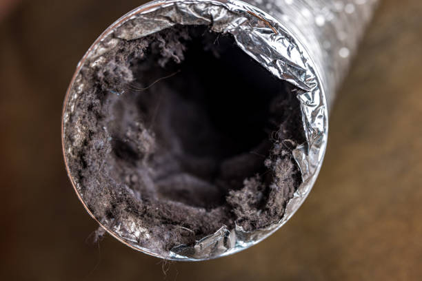 Best Home Air Vent Cleaning  in Sour Lake, TX