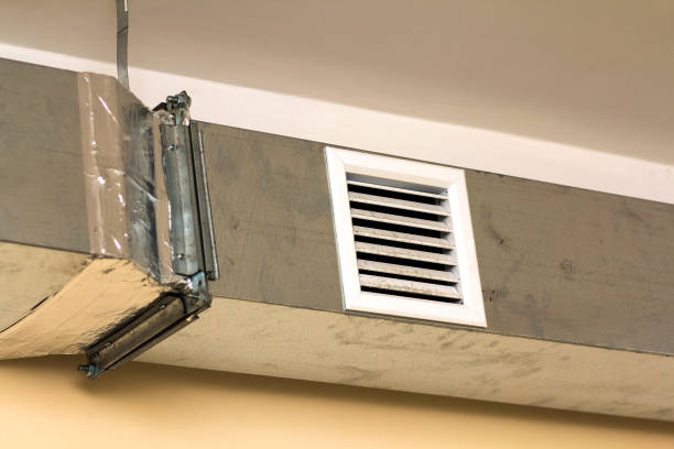 Best Air Duct Sanitizing Services  in Sour Lake, TX