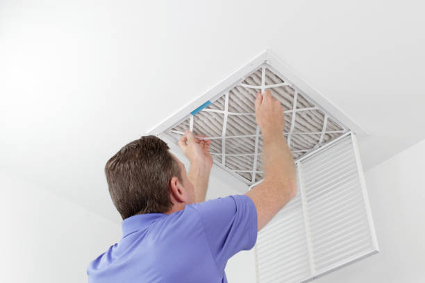 Best Emergency Air Duct Cleaning  in Sour Lake, TX